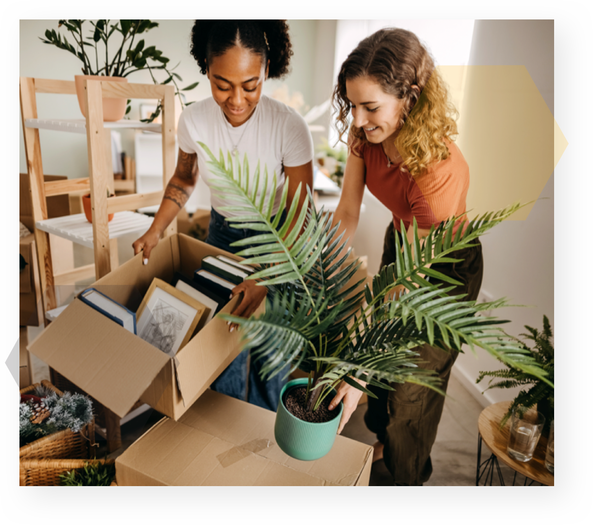 Showcase homes in 3D, manage prospects and send reservation forms…